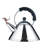 Tea Rex Kettle-20688947