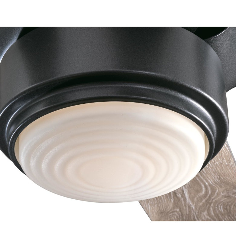 Prochoros Ceiling Fan with LED Lights