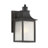 Monte Grande 1-Light Outdoor Wall Lantern in Bronze-112171073