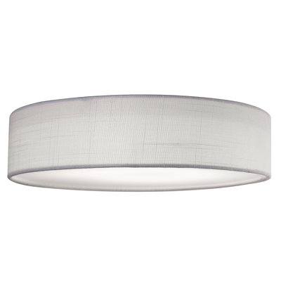Raasch 1-Light LED Flush Mount