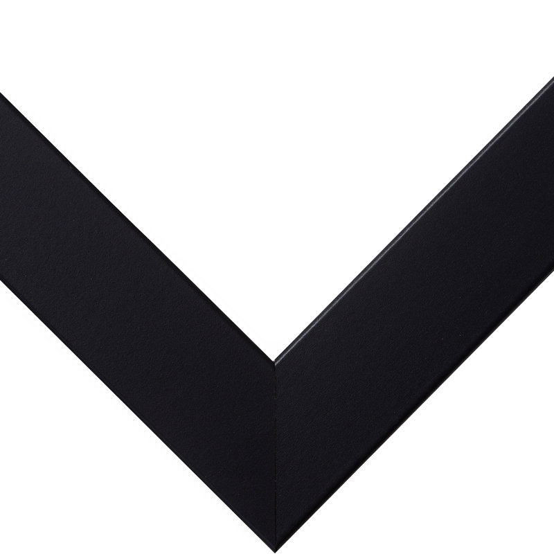 Hunziker Picture Frame with Mat, 20" x 24" Matted to 16" x 20", Satin Black