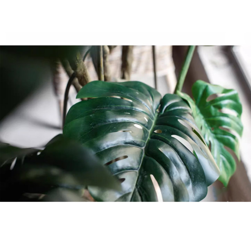 Grande plante de bambou verte à l'arrière, H 70,87 po x l 12,60 po x P 12,60 po