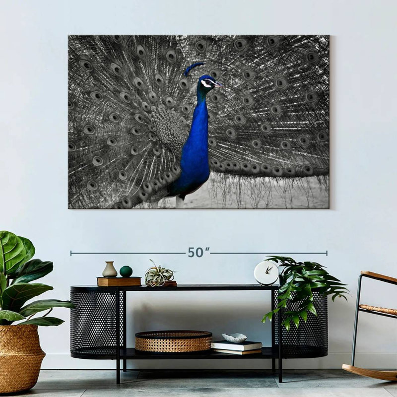 Brampt Peacock Pop, 34" H x 51" W