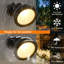 Outdoor Wall Lantern-986664989