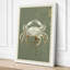 Specimen in Decay Rustic - Wrapped Canvas-803603465-803603575