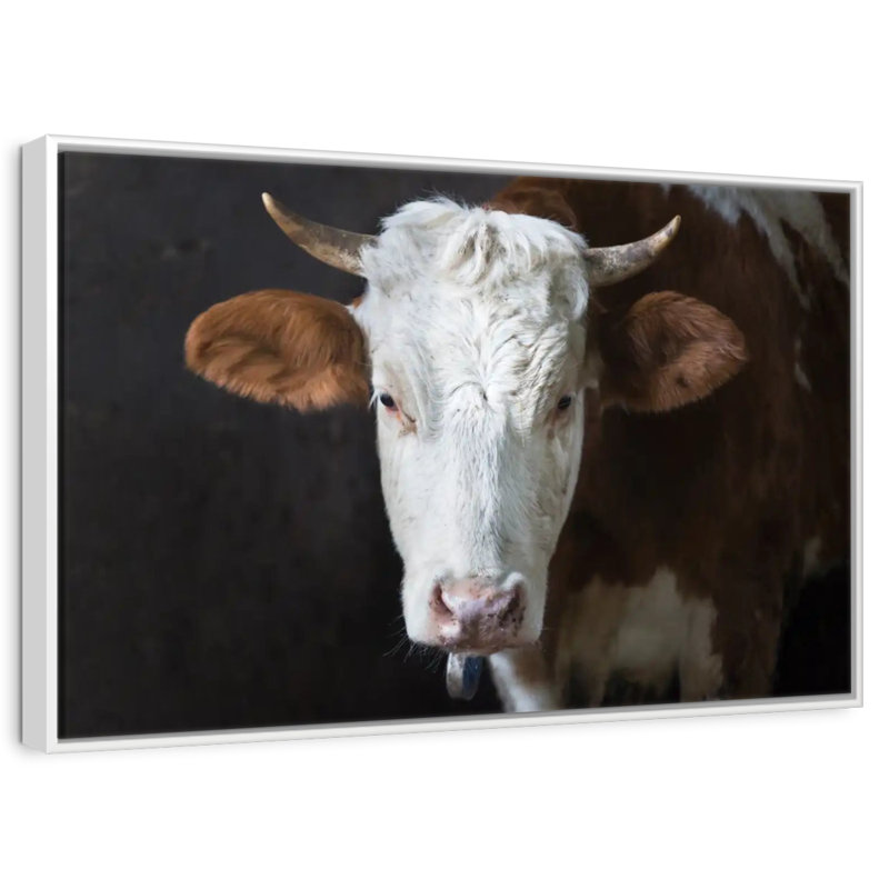 Visage de vache sérieux, Cadre flottant blanc, 40 po x 27 po