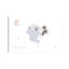 Koala - reproduction d'impression-52838171-52838172-52838187