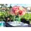 Arrangement floral roses en vase-1178180922