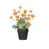 Orange est en rupture de stock