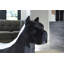 Sculpture Pitbull Facet, noir mat
