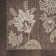 Rectangle Petroni Floral Polypropylene Indoor/Outdoor Area Rug in Brown/White
