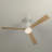 Karlena 52'' Ceiling Fan With Light Kit And Remote Control Included-116574011-116574013