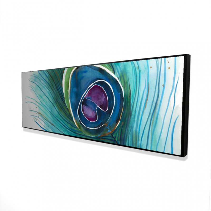 " Peacock Feather Closeup "