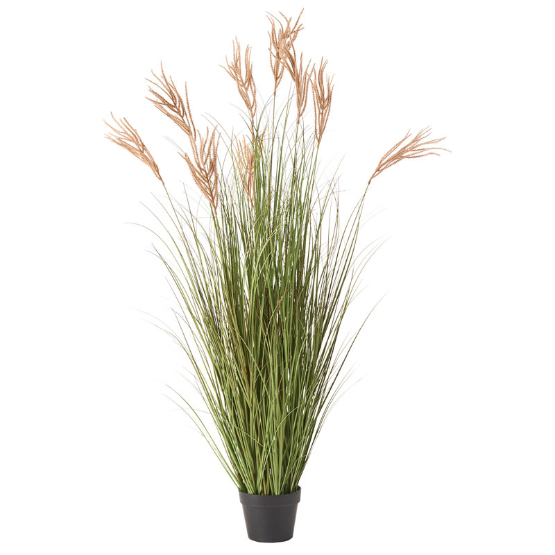 Arrangement in Pot
