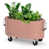 Powder Pink