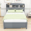 Izquierdo LED Storage Bed with Hidden Compartment and Twin Trundle-1442892831-1442892821