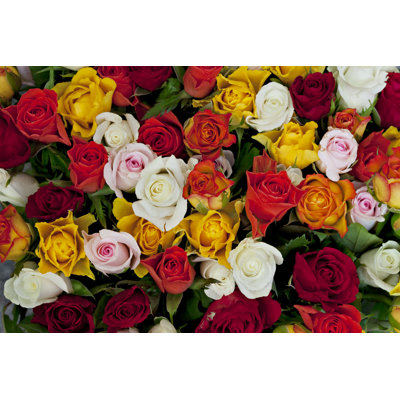 Bunch of Roses by Daneger