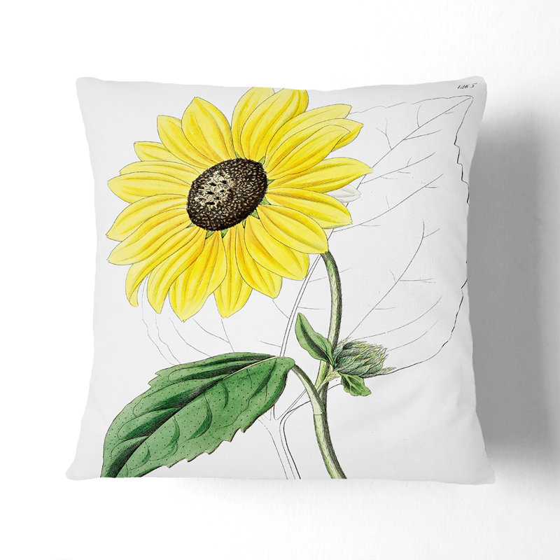 Floral Square Cushion, Black, 55 x 55 cm