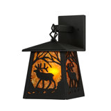 Rustic Lodge 1 - Light Outdoor Wall Lantern