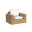 Playa Outdoor Lounge Chair
