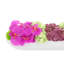 Orchidée Adelina et arrangement de plantes grasses-1665462801