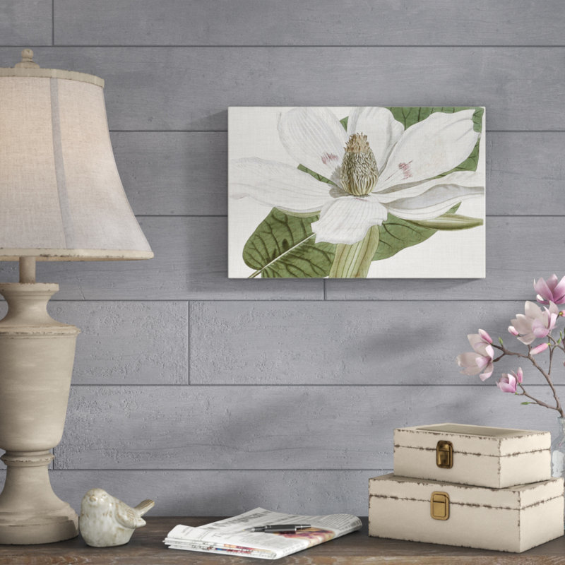 Curtis Magnolia II - Wrapped Canvas Painting Print, 30cm H x 46cm W, Wrapped Canvas