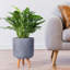 Concrete Effect Cylinder Round Planter on Hardwood Legs, Round Indoor Plant Pot Stand for Indoor Plants, Indoor Flower Pot with Honeycomb Pattern-89142826-89142829