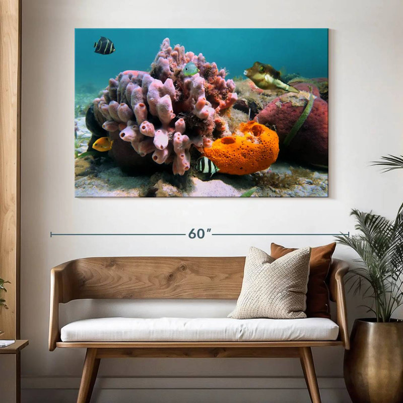 Éponge de mer rose Brampt, H 34 po x l 51 po