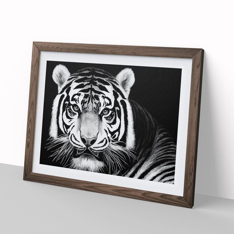 Tiger - Single Picture Frame Print, 34cm H x 46cm W, Walnut Framed
