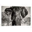 " Elephant Portrait " by Philippe Hugonnard-23354510-72689664-72689665