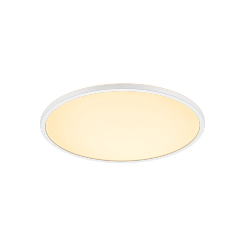 LED Flush Mount