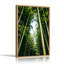 Impression sur toile verticale verticale en bambou vert contre le ciel bleu-1025589849