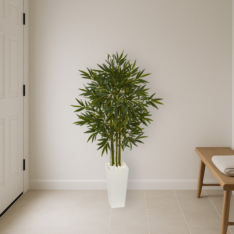 Bamboo Tree in White Tower Planter