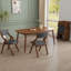 Chaise rembourrée pliante pour salle à manger-1972148187