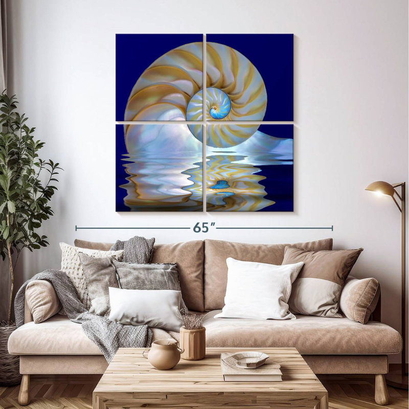 Aletra Nautilus Shell On Water