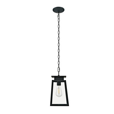 Lanterne suspendue d'extérieur à 1 ampoule H 11,35 po Acuff