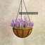 Kulas Hanging Planter