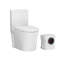 Système de toilette Macerating avec pompe Macerator 600W, toilette encastrée peu encombrante pour le sous-sol