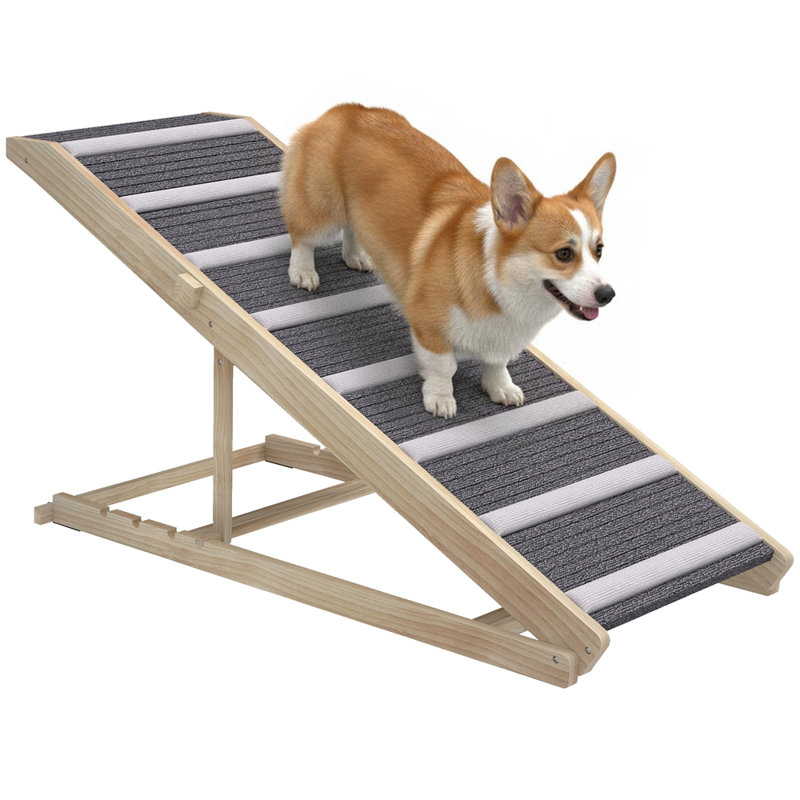Rampe pliable pour petit et grand chien
