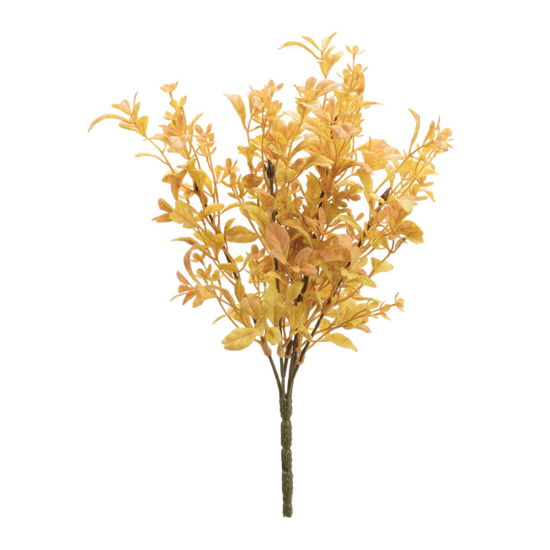 Mixed Fall Foliage Bush