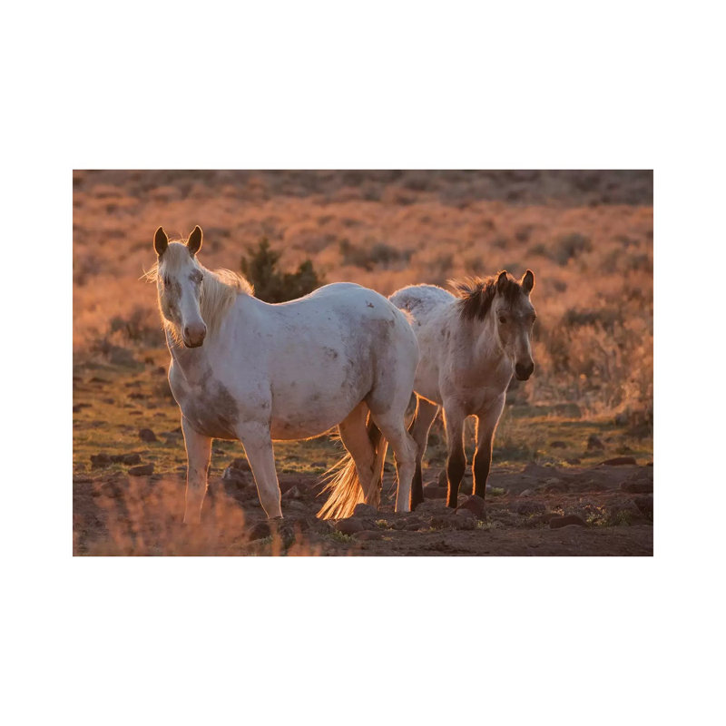 Wild horses at sunset 1 Piece Wrapped Canvas Wall Art, 101.6 cm H x 66.04 cm W x 1.91 cm D