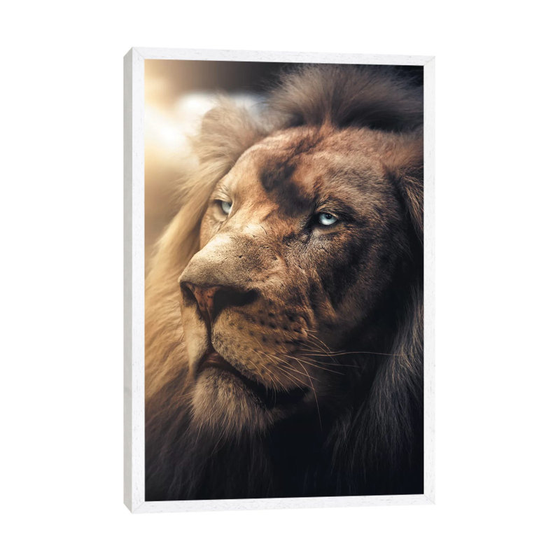 Lion Boss by Zenja Gammer - Print on Canvas, 66.04 cm H x 45.72 cm W, White Framed