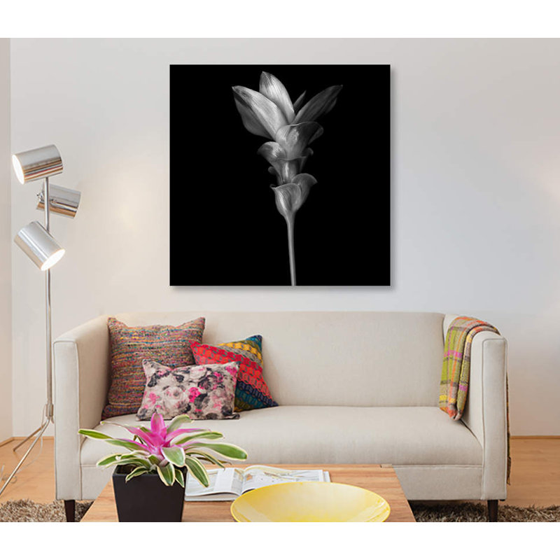 « curcuma iii, b&w » par magda indigo, impression sur toile, H 48 po x l 48 po x P 1,5 po, Pas de tapis, Toile tendue