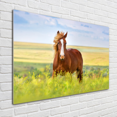 Brown Horse - Unframed Art Prints on Glass