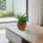 Ceramic Flowerpot-875230099