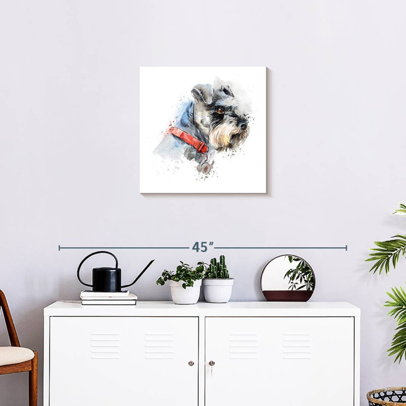 Crowle Schnauzer Splash