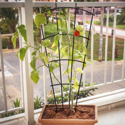  Treillis pour plantes en pot 32 po pour plantes en pot (ensemble de 4) - Support décoratif antirouille pour plantes grimpantes d'intérieur et d'extérieur