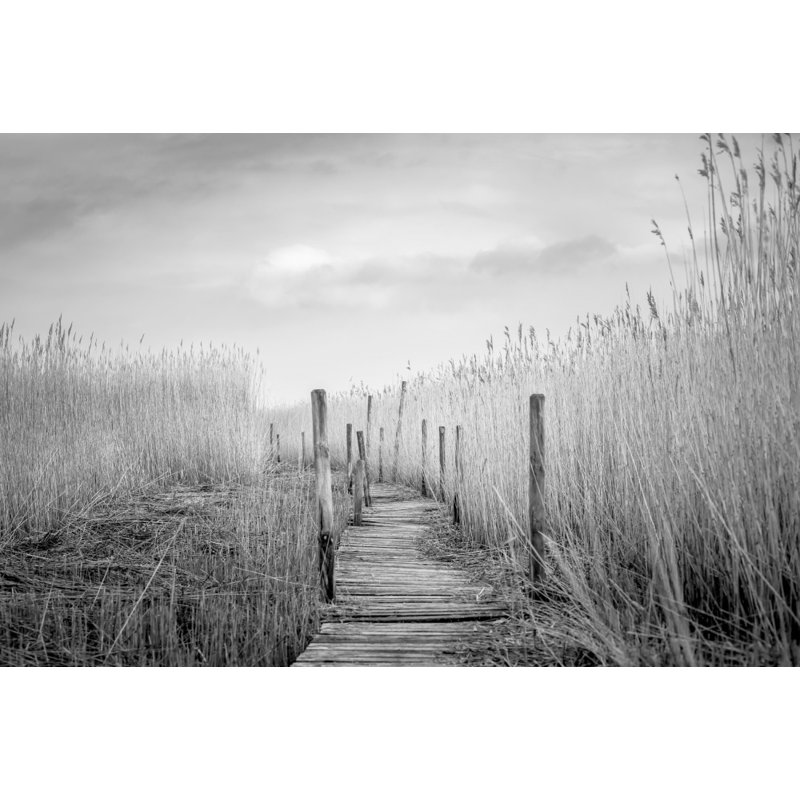 Wrapped Canvas Print, 50.8 cm H x 76.2 cm W