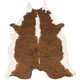 Helaine Animal Print Handwoven Camel/Beige Area Rug