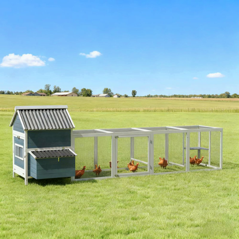 Poulailler pour 10 à 15 poulets